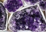 Lot: Uruguay Amethyst Clusters (Grade A) - Pieces #79427-1